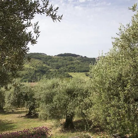Casa Mia -per Sentirti A Casa Tua - Giardino, Parcheggio E Jacuzzi Perugia