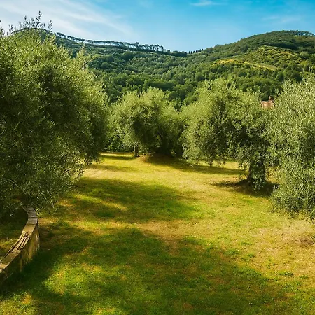 Casa Mia -per Sentirti A Casa Tua - Giardino, Parcheggio E Jacuzzi 別荘 ペルージャ